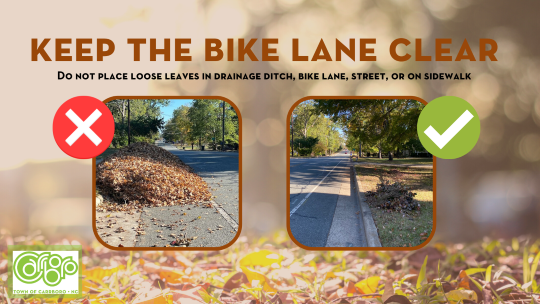 Yard Waste Infographic